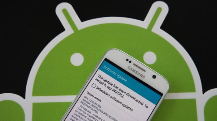 smart05.jpg smart05.jpg